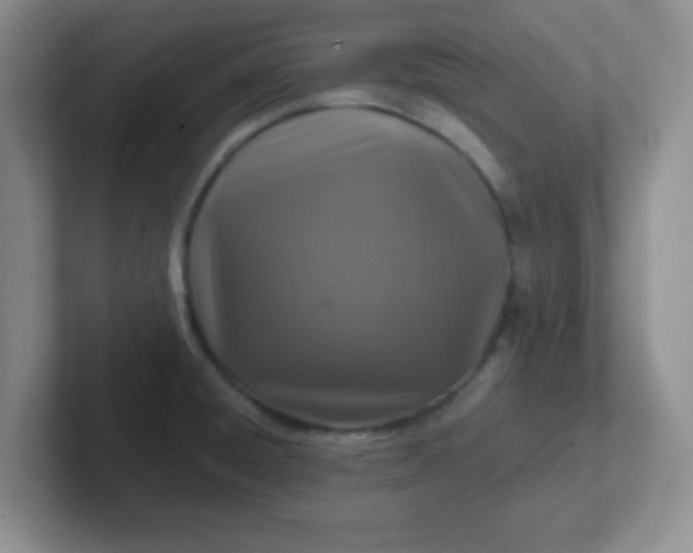 X0000102311428200808081556