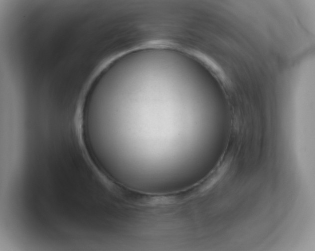 X0000102311430200808081556