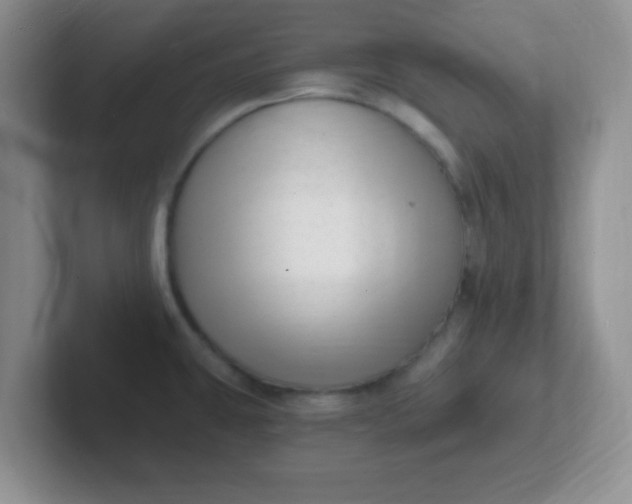 X0000102311431200808081556