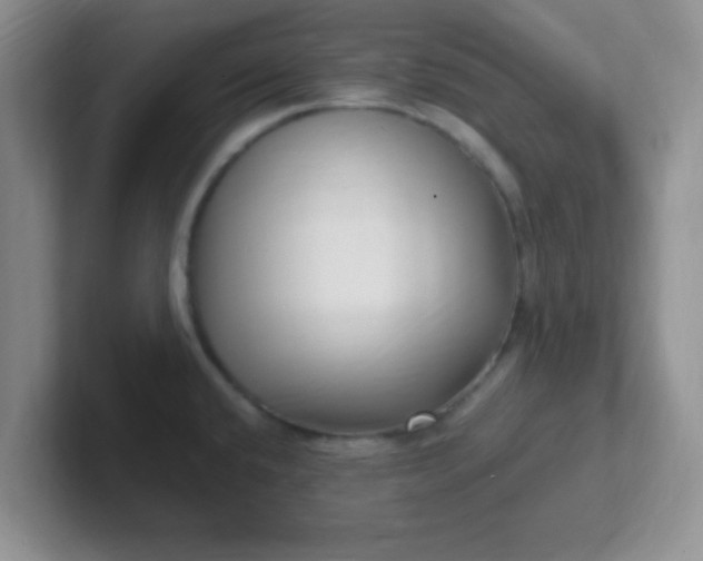 X0000102311432200808081556