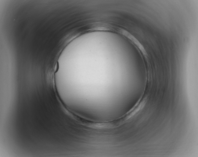 X0000102311433200808081556