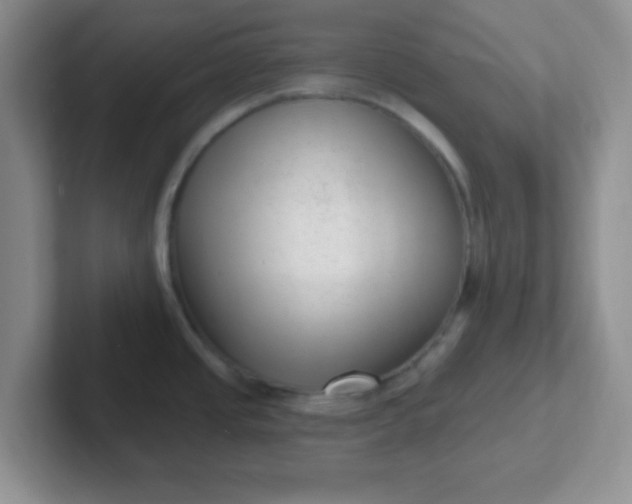 X0000102311437200808081556