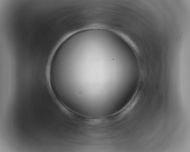 X0000102311438200808081556