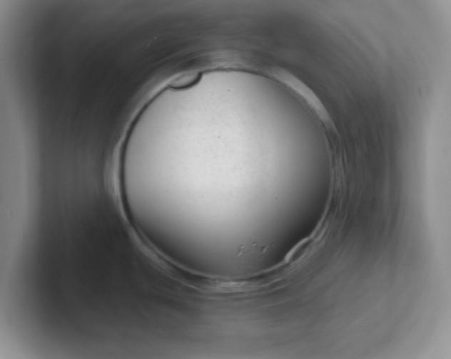 X0000102311439200808081556