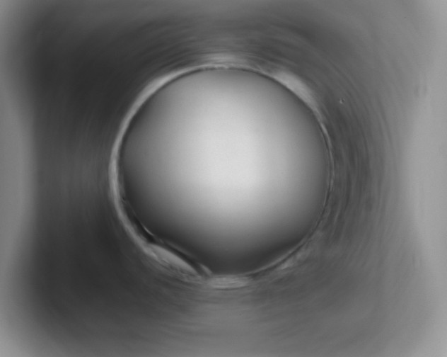 X0000102311440200808081556