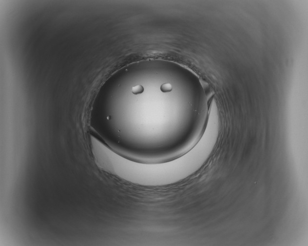 X0000102311441200808081555