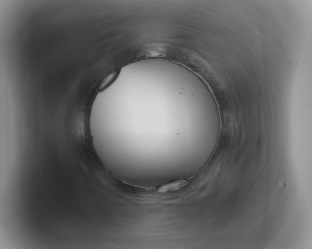 X0000102311442200808081555