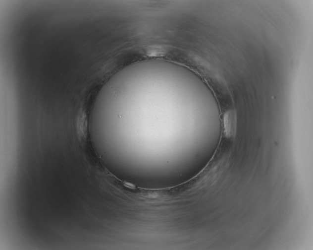 X0000102311443200808081555