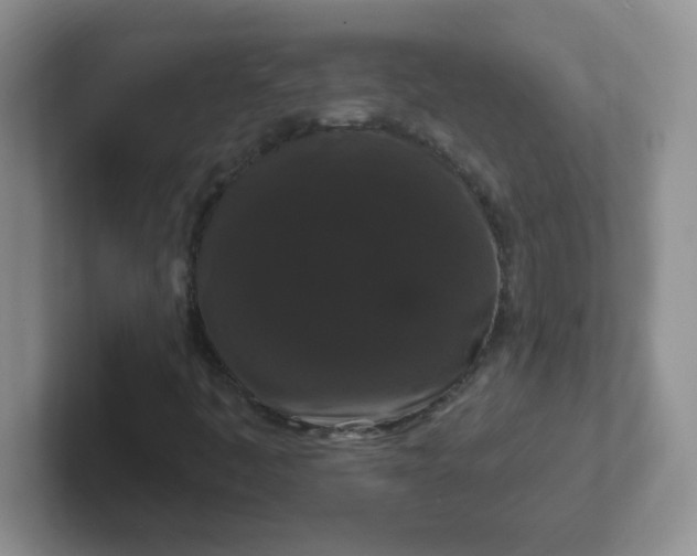 X0000102311445200808081555