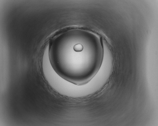 X0000102311448200808081555