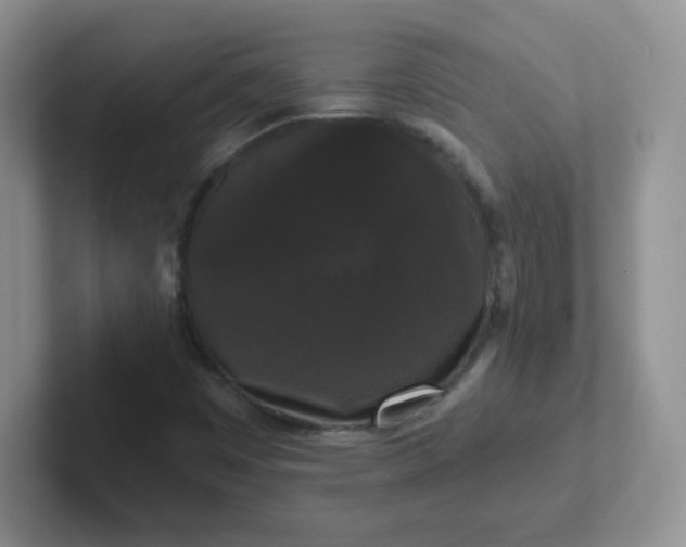 X0000102311449200808081555