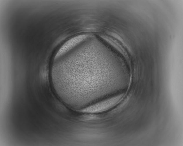 X0000102311450200808081555