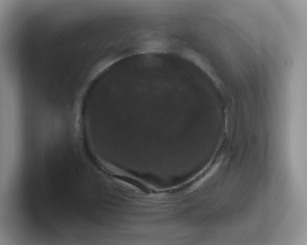 X0000102311453200808081555