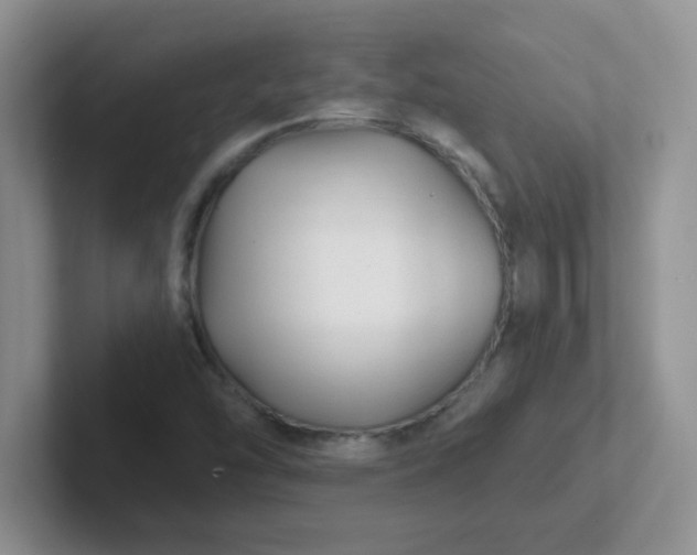 X0000102311454200808081555