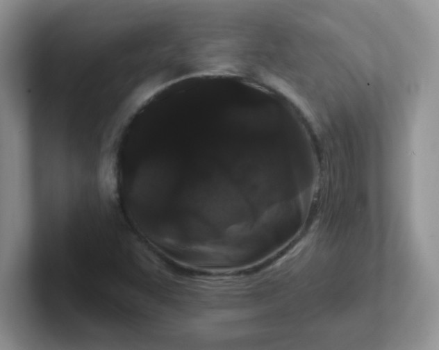 X0000102311455200808081555