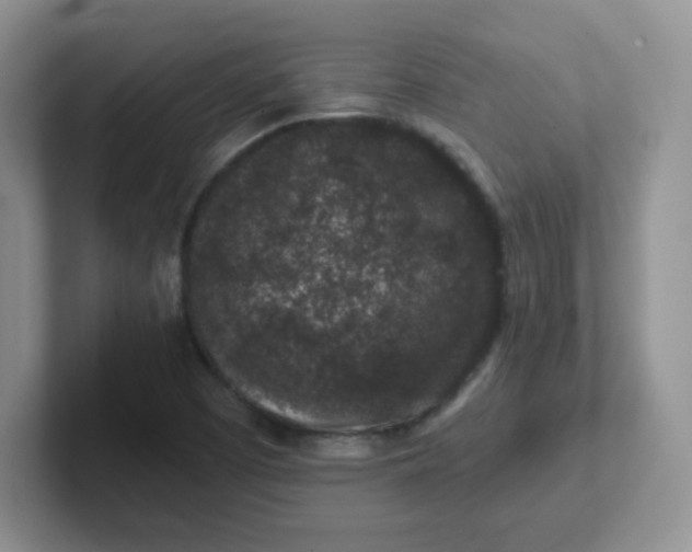 X0000102311457200808081555