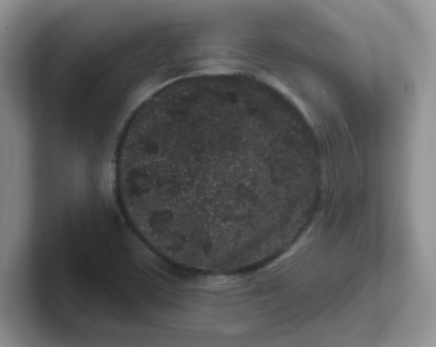 X0000102311459200808081555