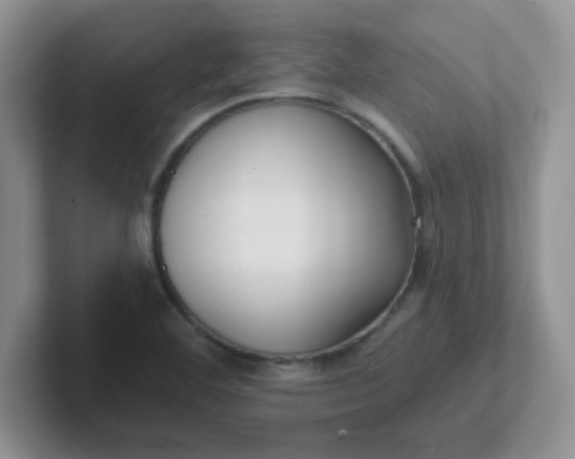 X0000102311460200808081555