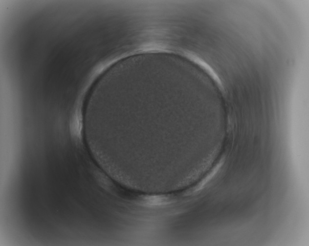 X0000102311461200808081555