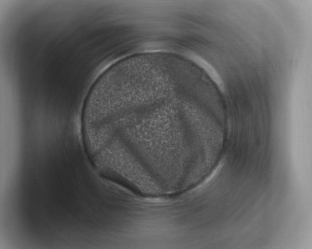 X0000102311465200808081555