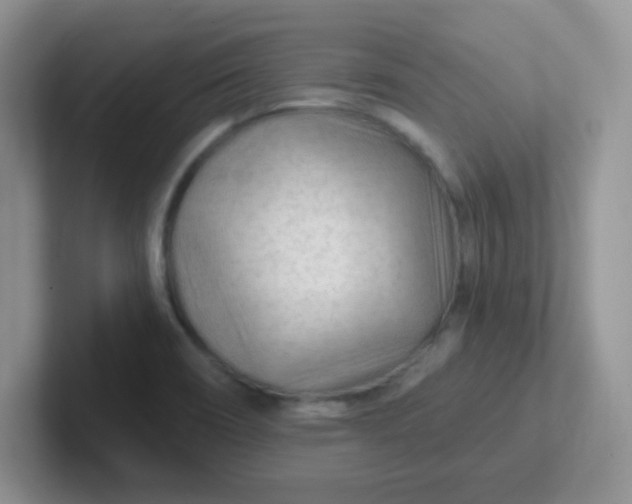 X0000102311466200808081555