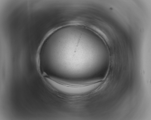 X0000102311467200808081555