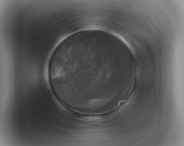 X0000102311468200808081555