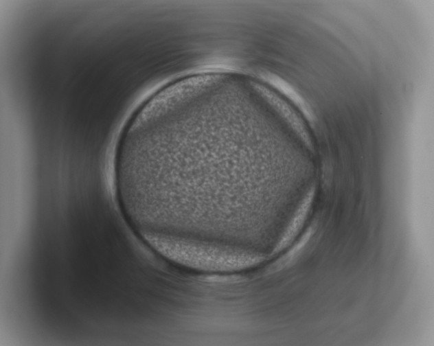 X0000102311469200808081555