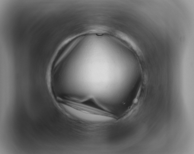 X0000102311471200808081555