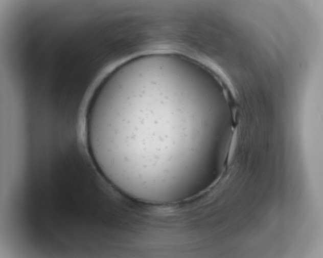 X0000102311472200808081555