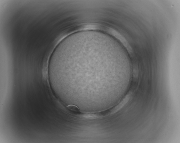 X0000102311473200808081555