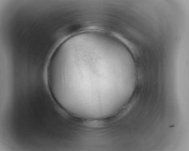 X0000102311474200808081555