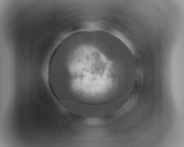 X0000102311477200808081555