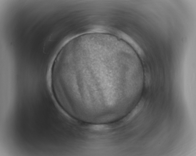 X0000102311479200808081555