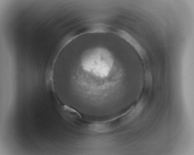 X0000102311481200808081555