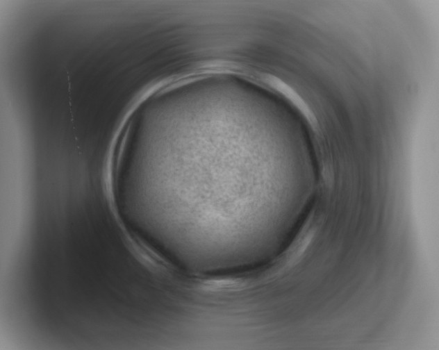 X0000102311482200808081555