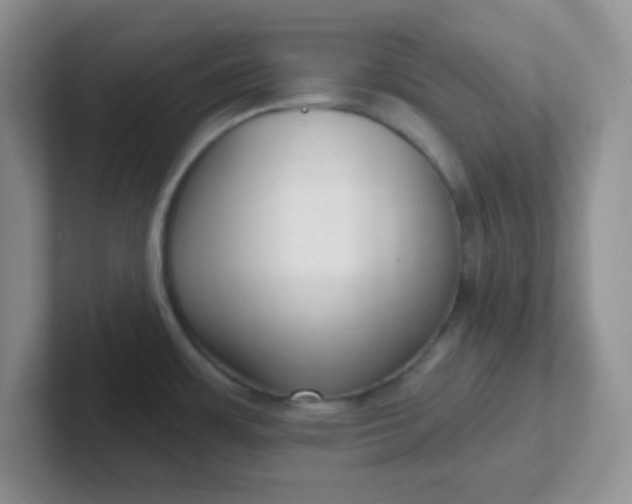 X0000102311483200808081555