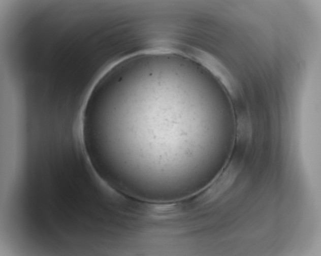 X0000102311484200808081555