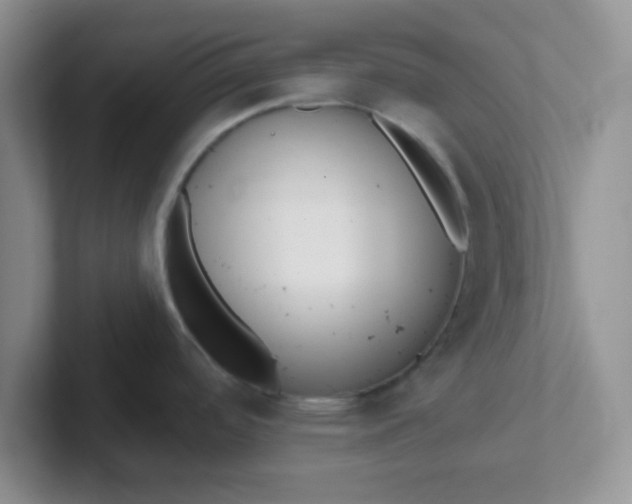 X0000102311488200808081555