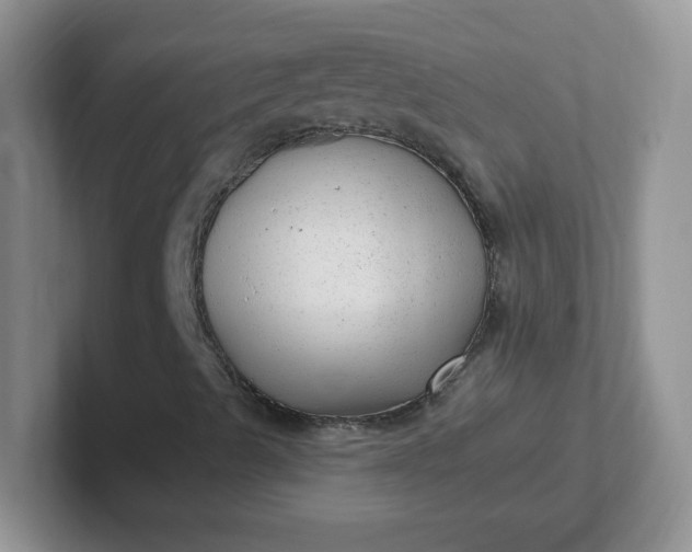 X0000102311489200808081554