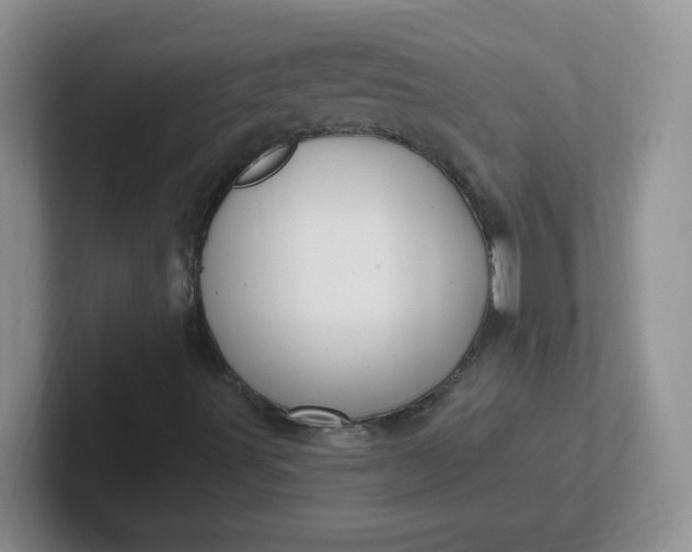 X0000102311491200808081554