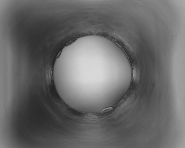 X0000102311492200808081554