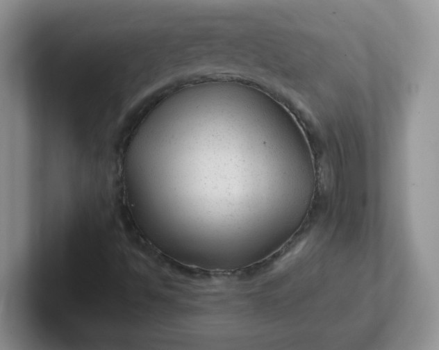 X0000102311494200808081554