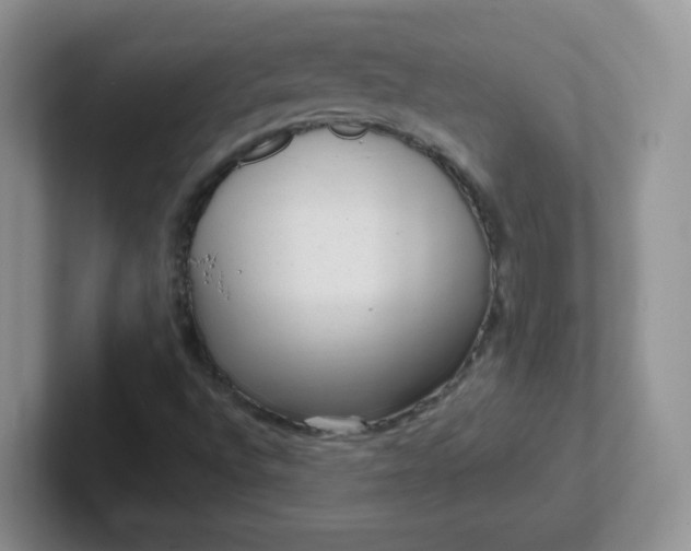 X0000102311496200808081554