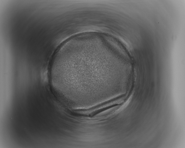 X0000102311497200808081554