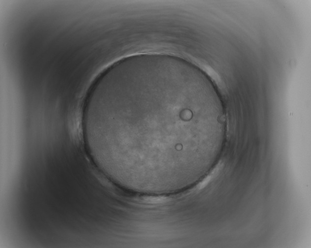 X0000102311498200808081554