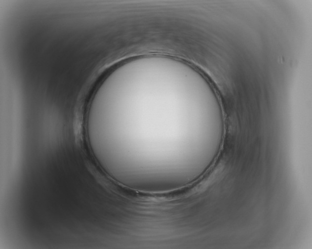 X0000102311499200808081554