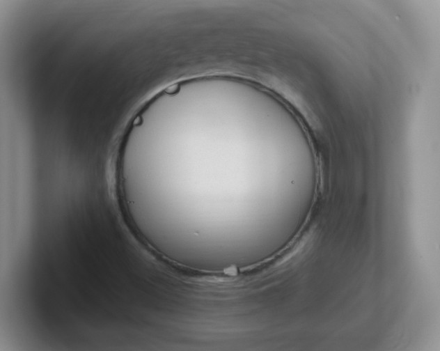 X0000102311500200808081554