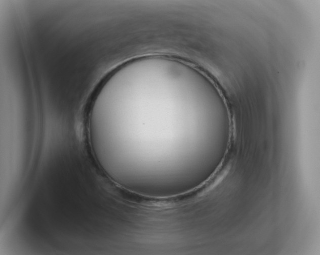 X0000102311501200808081554