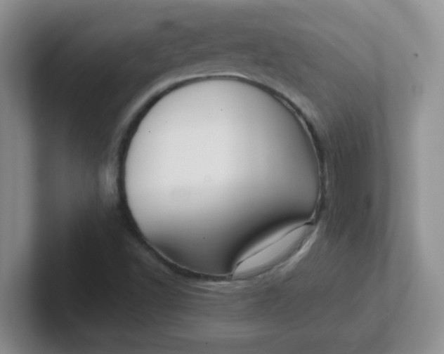 X0000102311502200808081554